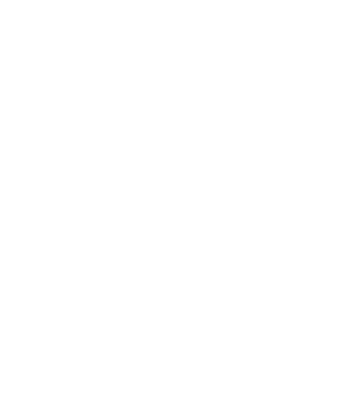 PET 01 Poliestere